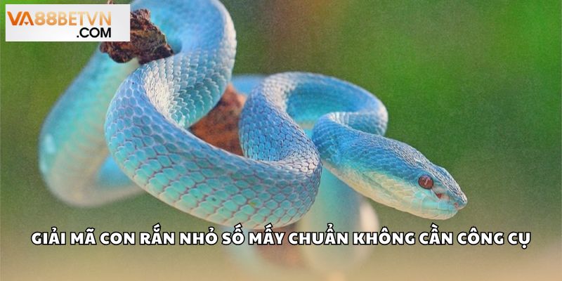 Giải mã con rắn nhỏ số mấy chuẩn xác không cần công cụ