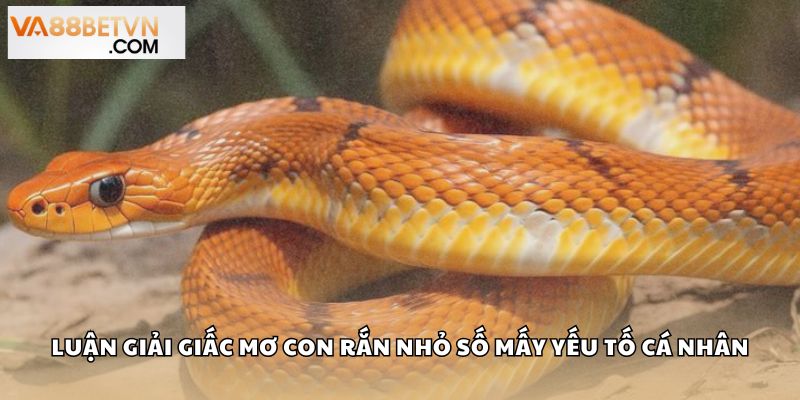 Luận giải giấc mơ con rắn nhỏ số mấy theo yếu tố cá nhân
