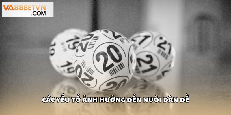 Các yếu tố ảnh hưởng đến nuôi dàn đề